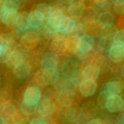 Bokeh-498